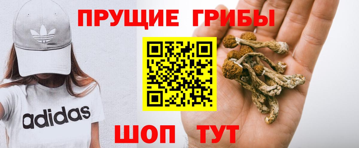 Галлюциногенные грибы мухоморы Стерлитамак