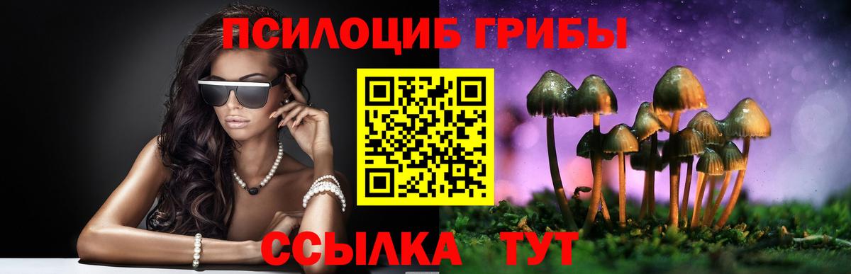 Стерлитамак  Галлюциногенные грибы GOLDEN TEACHER  Вход с VPN 